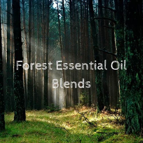 Forest Essential Oil Blends