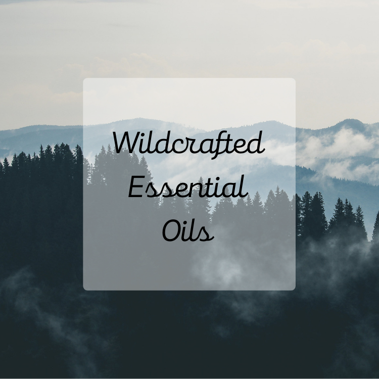 Wildcrafted Essential Oils